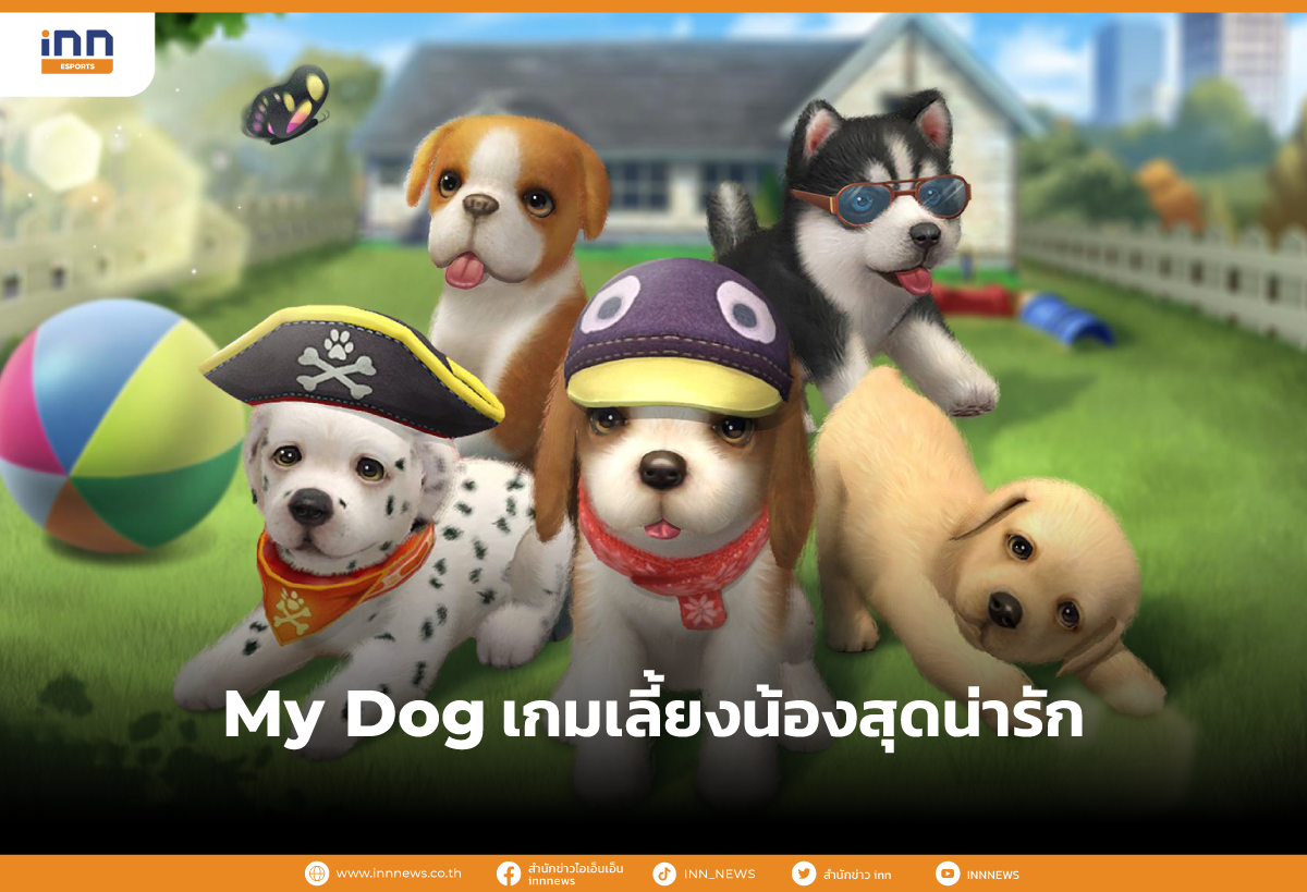 My Dog เกมเลี้ยงน้องสุดน่ารัก ให้อาหารได้ สั่งด้วยเสียงได้ พาไปวิ่งเล่นได้