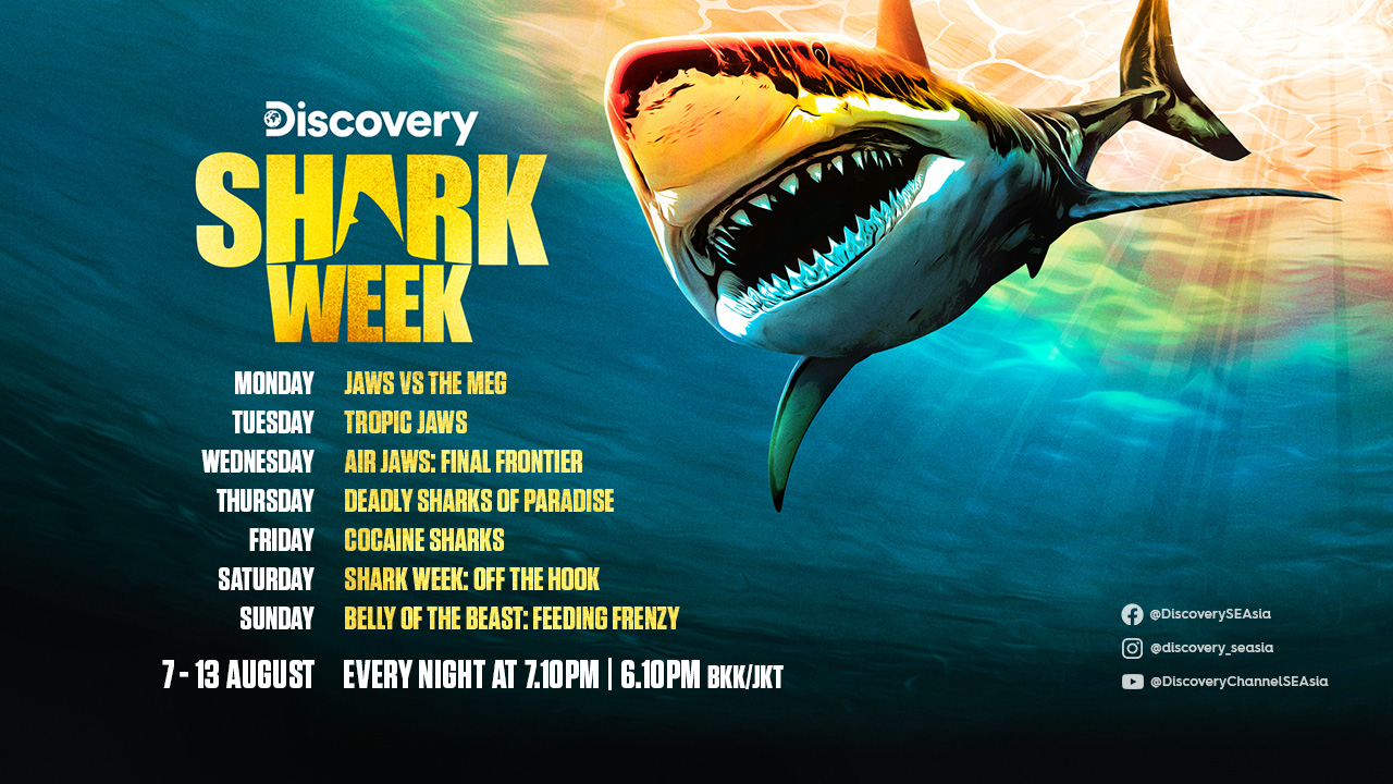 เตรียมพบกับเจสัน โมโมอา ใน Shark Week ทาง Discovery Channel